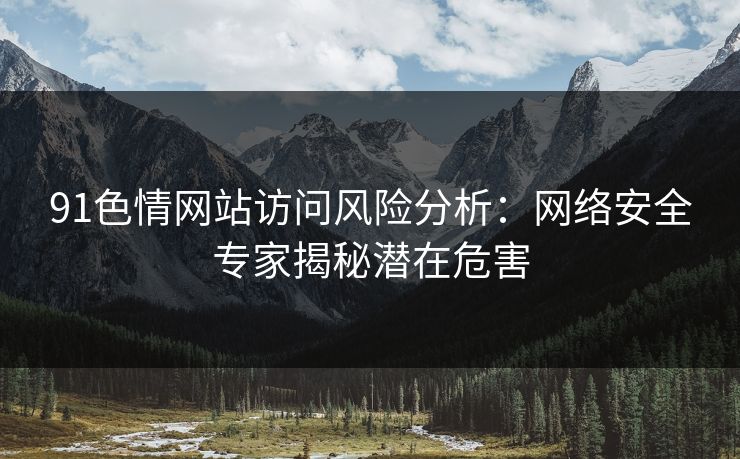 91色情网站访问风险分析：网络安全专家揭秘潜在危害  第1张