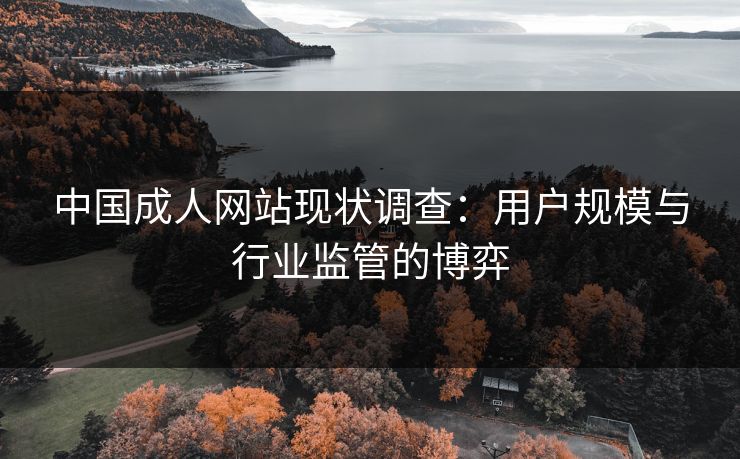 中国成人网站现状调查：用户规模与行业监管的博弈  第1张