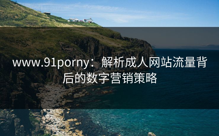 www.91porny：解析成人网站流量背后的数字营销策略  第1张