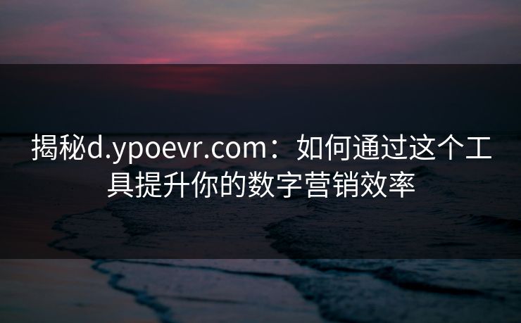 揭秘d.ypoevr.com：如何通过这个工具提升你的数字营销效率  第1张